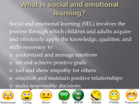 Social and emotional learning 3