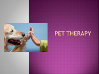 Pet therapy slides