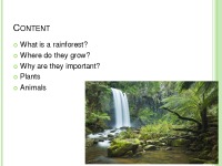 Presentation about Rainforests 2