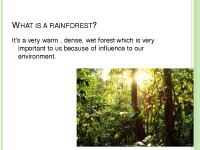 Presentation about Rainforests 3