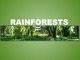 Rainforests presentation