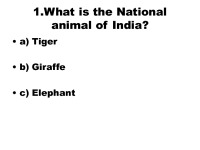 Mammals quiz 2