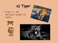 Mammals quiz 3