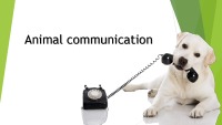 Presentation about Animal communication 1