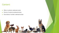 Presentation about Animal communication 2