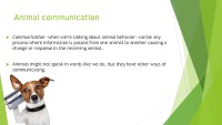 Presentation about Animal communication 3