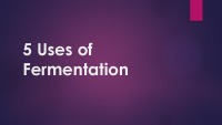 Uses of Fermentation slides 1