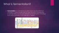 Uses of Fermentation slides 2