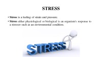 The correlation between stress and performance presentation 2