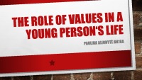 The role of values in a young person‘s life 1