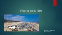 Plastic pollution presentation 1