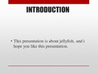 Presentation about Australian Jellyfish 2