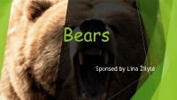 Bears slides 1