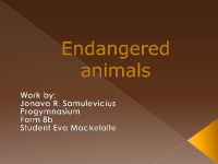 Endangered animals species 1