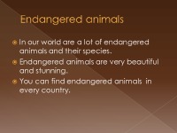 Endangered animals species 3