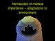 Nematodes of medical importance – adaptations to environment