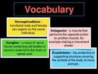 Nematodes of medical importance – adaptations to environment 2