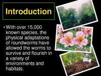 Nematodes of medical importance – adaptations to environment 3