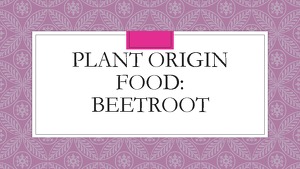 Plant Origin Food Beetroot