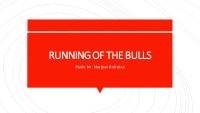 Running of the bulls project 1