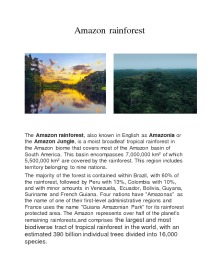 Amazon rainforest 1