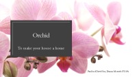 Orchid company 1