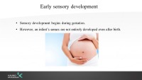 Sensory development in a child 3