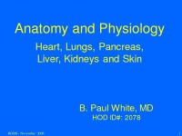 Heart Anatomy and Physiology slides 1