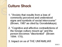 Slides about Culture shock analysis 3