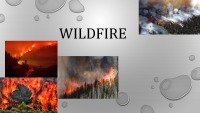 Wildfire presentation 1