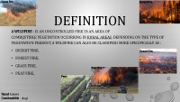 Wildfire presentation 3