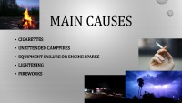 Wildfire presentation 4