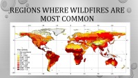 Wildfire presentation 5