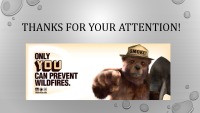 Wildfire presentation 7