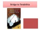 Slides about book: Katherine Paterson Book „Bridge to Terabithia“ 