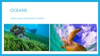 Amazing oceans presentation 2