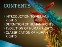 Human rights essay 3