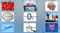 Chemical reactions 29
