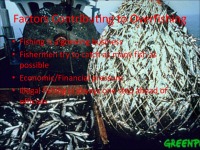 Overfishing presentation 3