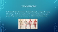 Amazing facts about human body 2