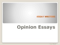 Slides about Essay writing 1