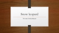 Snow Leopard slides 1