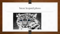 Snow Leopard slides 2