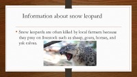 Snow Leopard slides 3