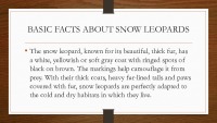 Snow Leopard slides 4