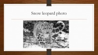 Snow Leopard slides 6
