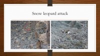 Snow Leopard slides 7