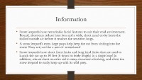 Snow Leopard slides 8