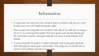 Snow Leopard slides 9