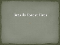 Brazilian Forest Fires slides 1